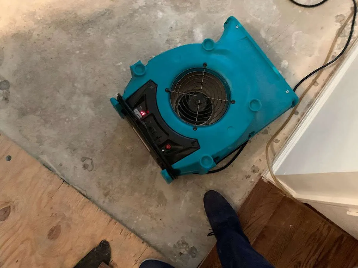 Air mover drying subfloor during Leak Detection & Repair in Adel